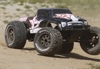 ECX 1/10 Ruckus Brushless RTR Black